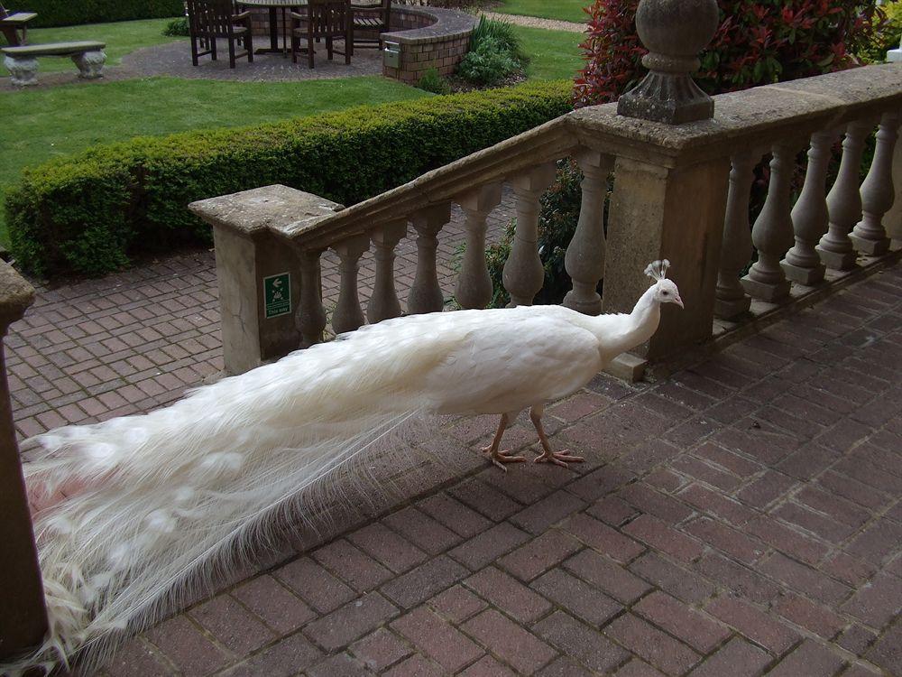 Pendley Manor Hotel